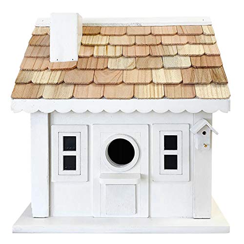 Condo Bird House P2156