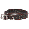 Studded Leather Dog Collar S463