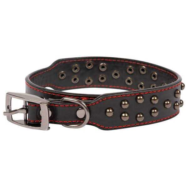 Studded Leather Dog Collar S463