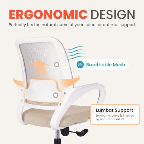 Black Ergonomic Mesh Office Chair with Lumbar Support F991