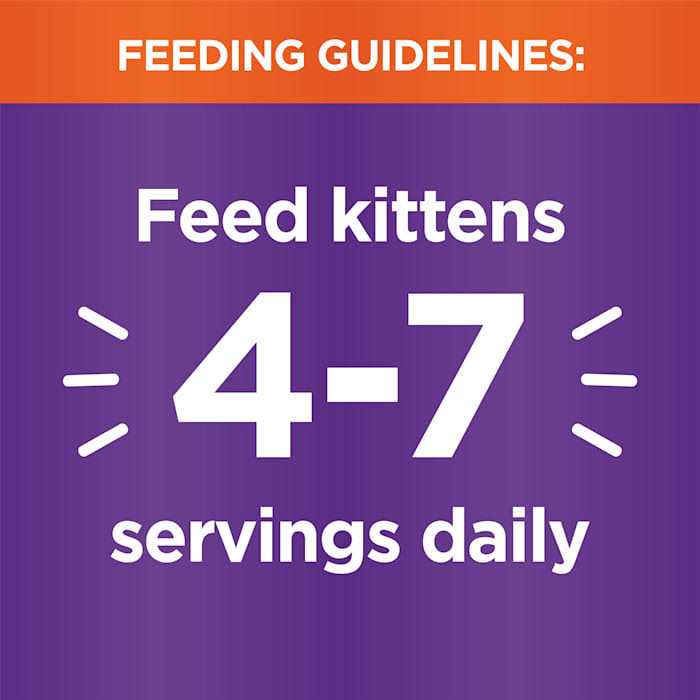 Cat Food M16863