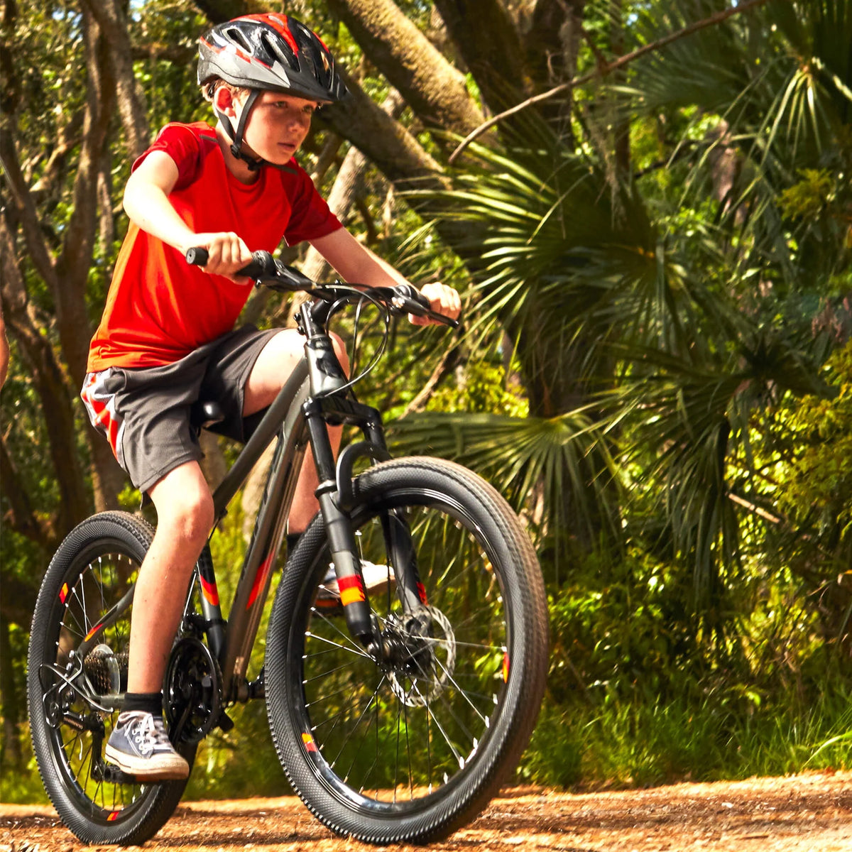 24 21-Speed Mountain Bike with Disc Brakes E7218