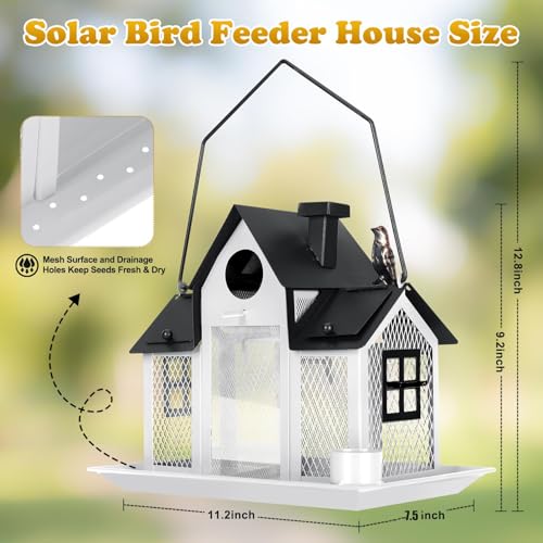 Hanging Metal Squirrel Proof Bird Feeder B40416