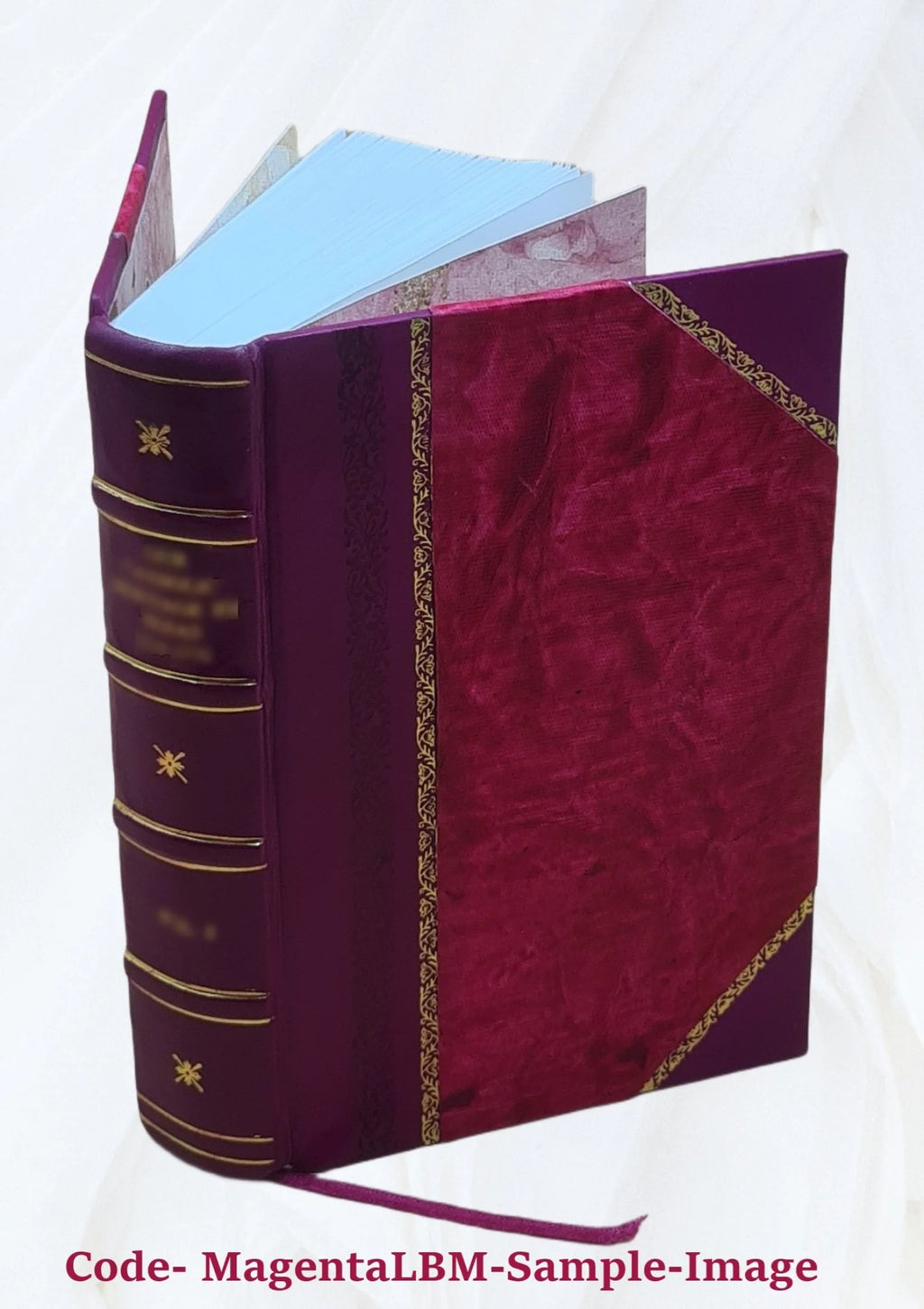 Leather Bound Book Q257