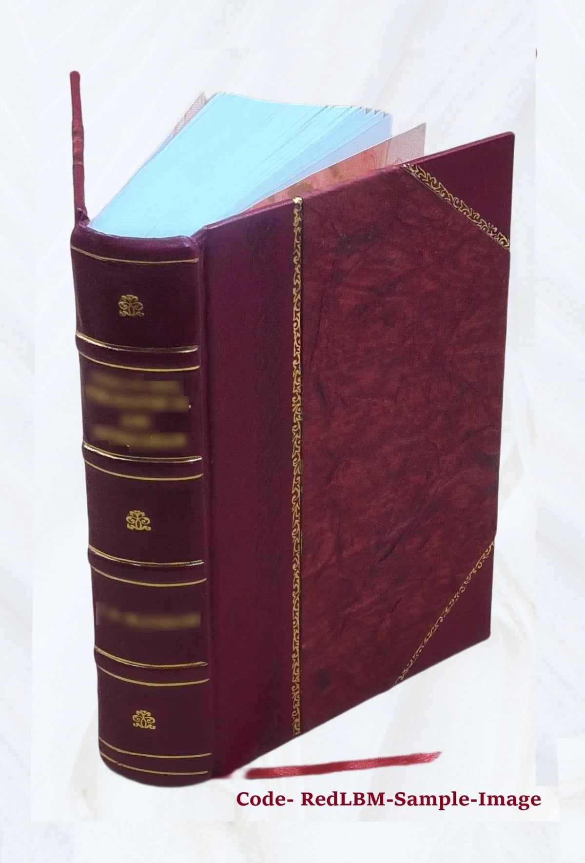 Leather Bound N270386
