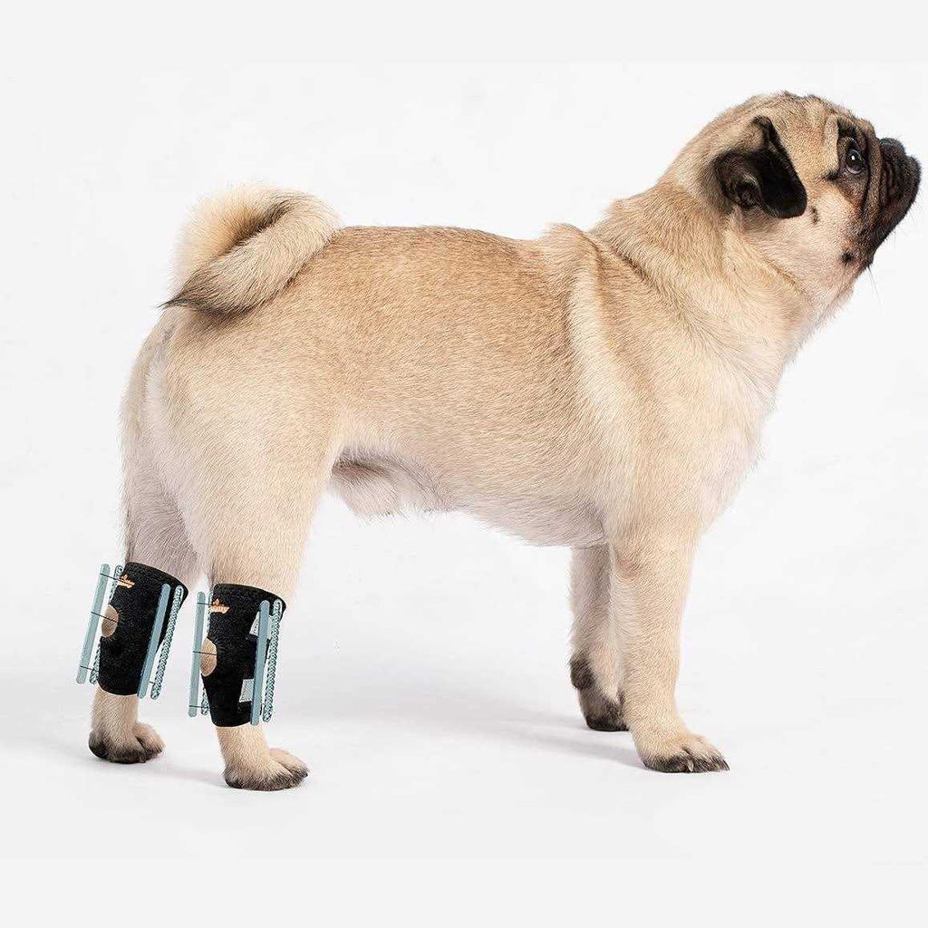Small Dog Rear Leg Support Splint Braces G41791