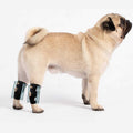 Small Dog Rear Leg Support Splint Braces G41791