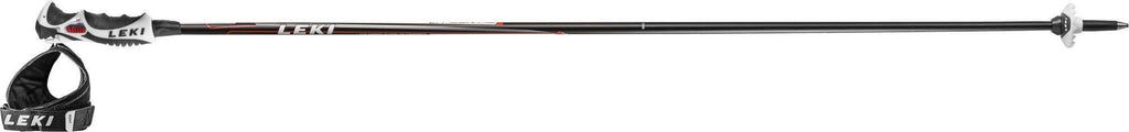 Ski Poles Y890945