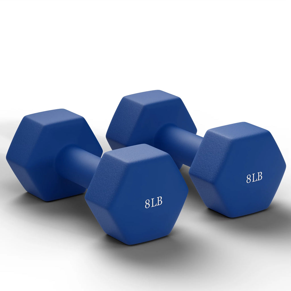 Set of 2 25LB Black Hex Dumbbells N8144
