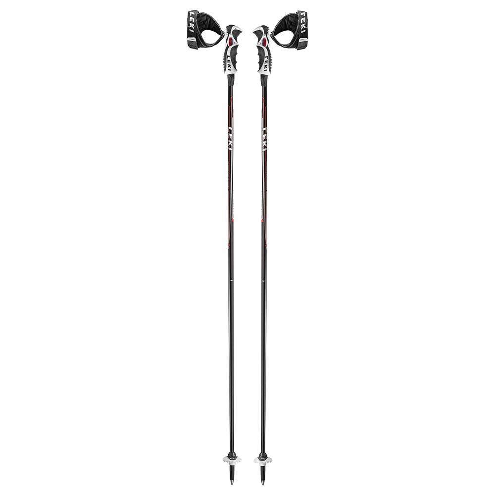 Ski Poles Y890945