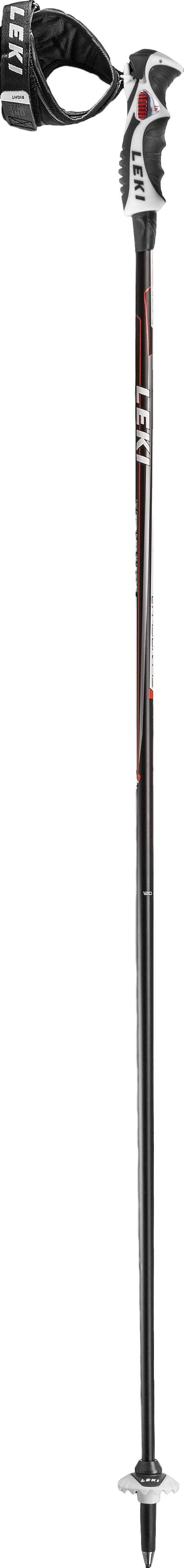 Ski Poles Y890945