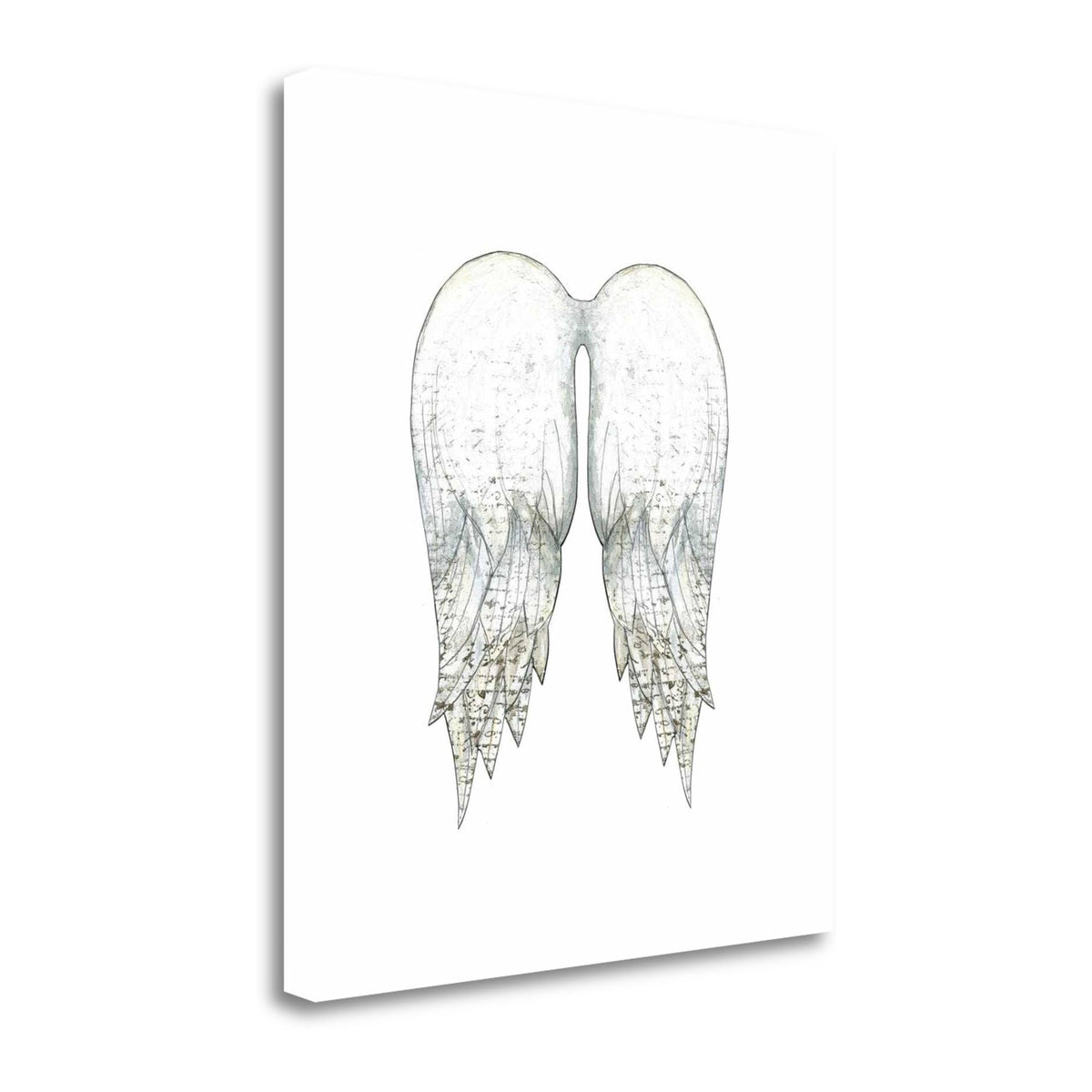 White Angel Wings Giclee Print on Gallery Wrap Canvas 21x22 x 24 N927