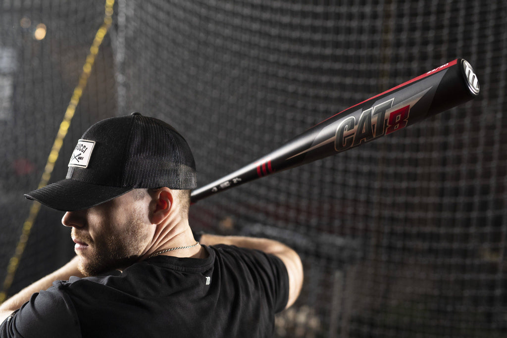 Black Baseball Bat R542224