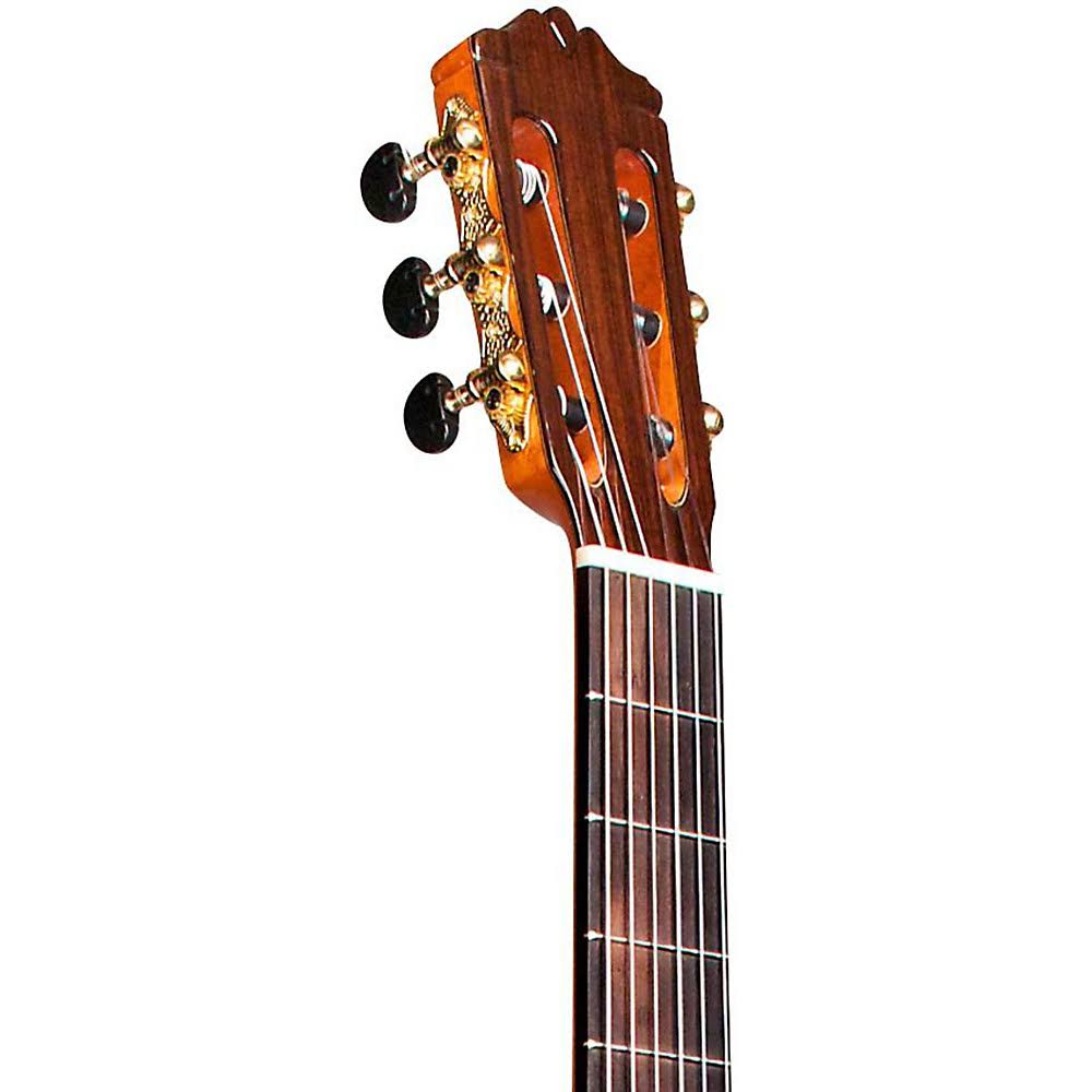 Natural Nylon String Classical Guitar J786