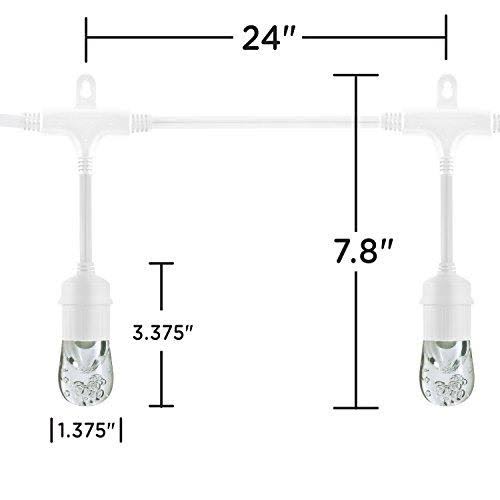 Classic LED Cafe Lights 12 Bulbs 24 ft. White Cord and 12 Stainless Steel Cage Shades Q329