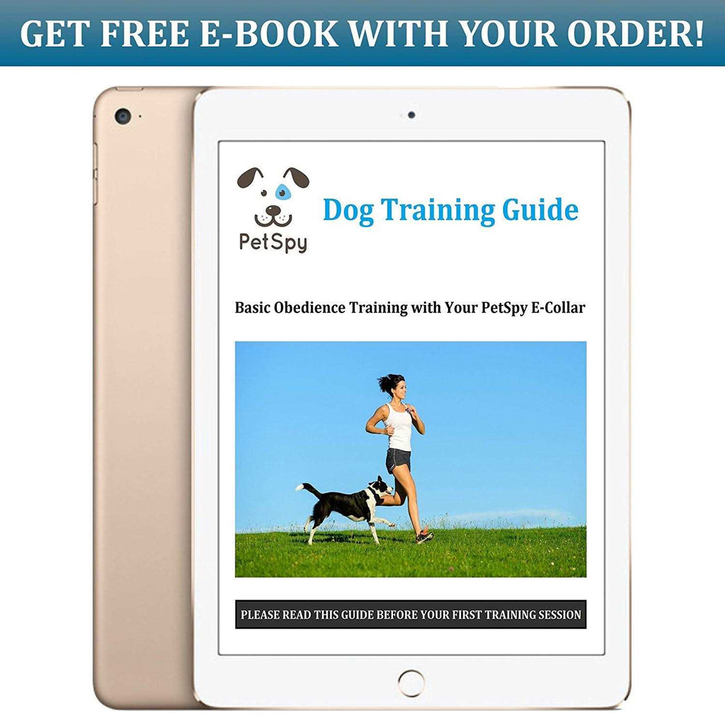Dog Training Shock Collar with Vibration Shock and Beep W6504