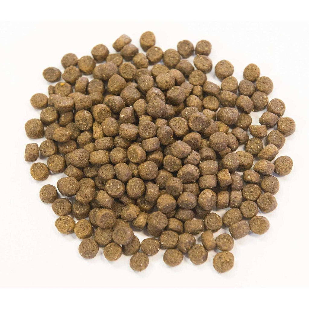 Ancient Grains with Ocean Fish Dog Food L411338