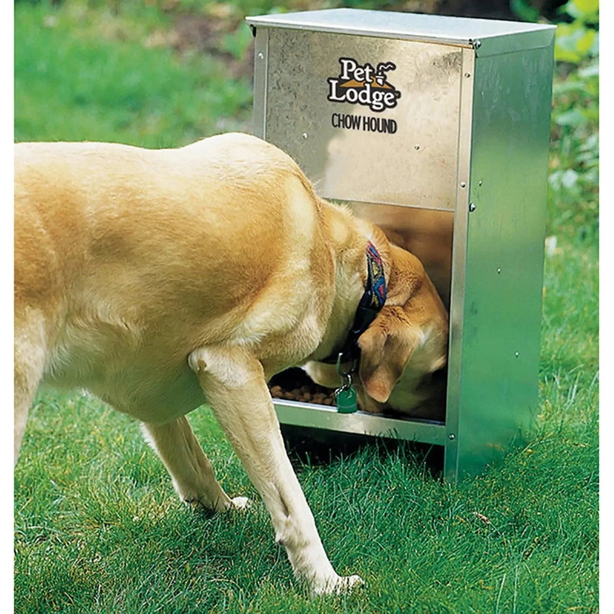 Dog Feeder, 12 lbs O3348