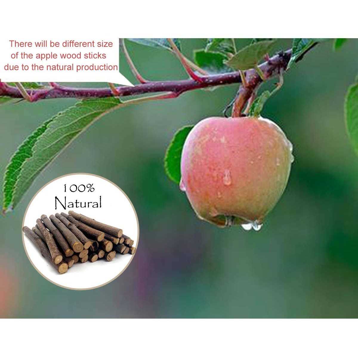 Organic Apple Sticks Chew Toys for Rabbits Guinea Pigs Chinchilla Hamster Small Animals F499