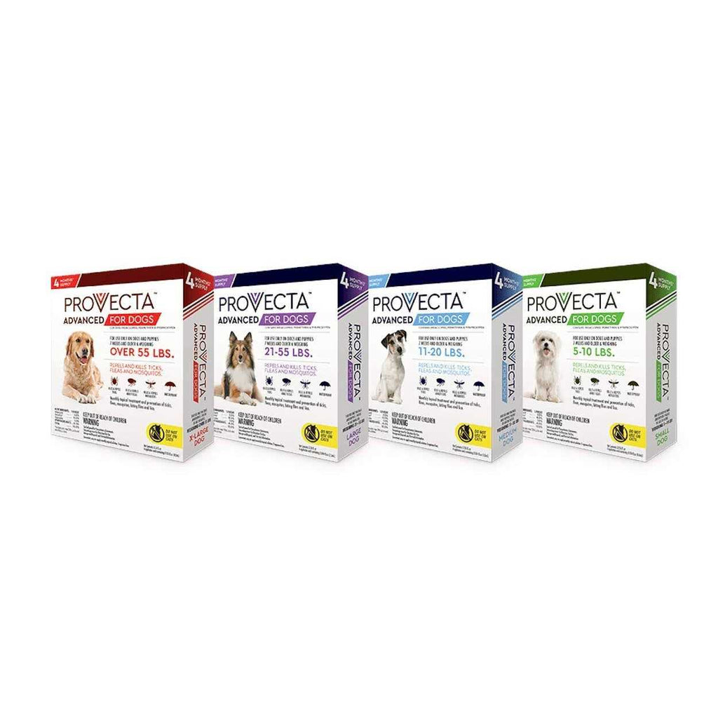 Advanced 4 Doses for Dogs G132