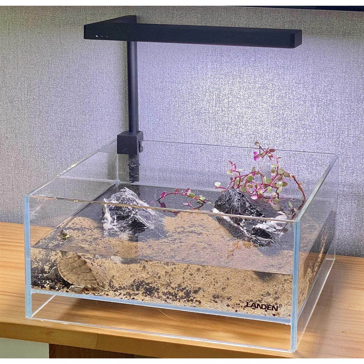 1.6 Gallon Rimless Low Iron Glass Aquarium Tank O320