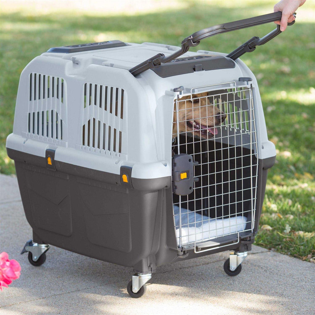 Plastic Travel Carrier P2383