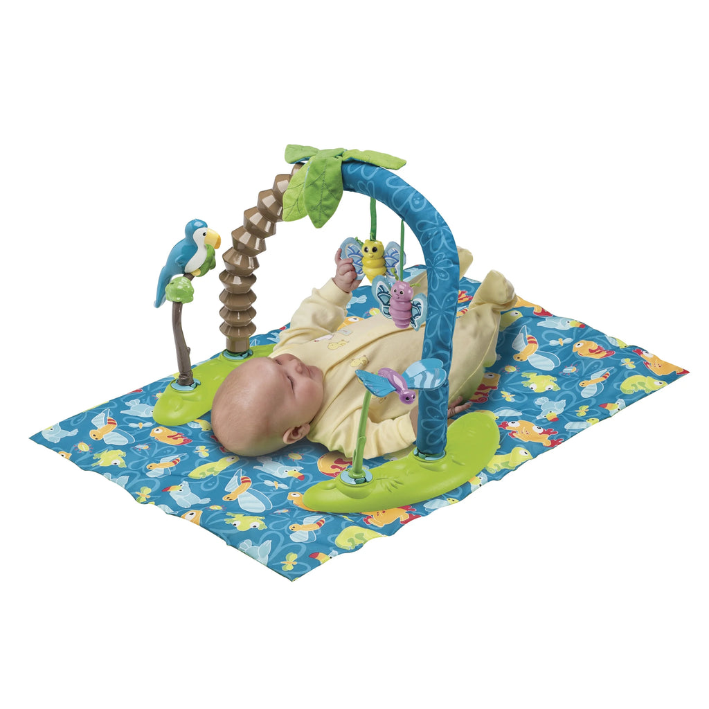 Bouncing Activity Saucer S763930