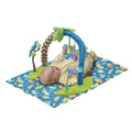 Bouncing Activity Saucer S763930
