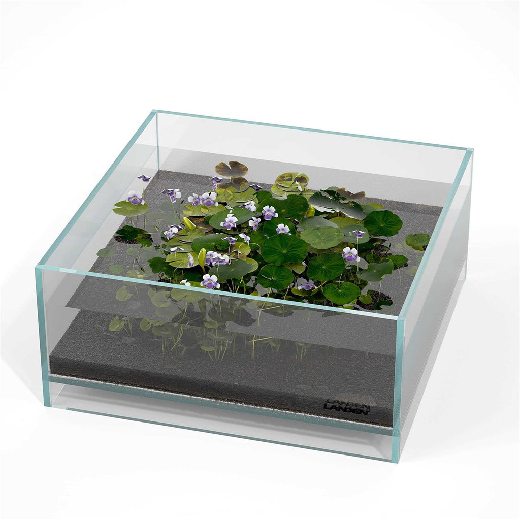 1.6 Gallon Rimless Low Iron Glass Aquarium Tank O320