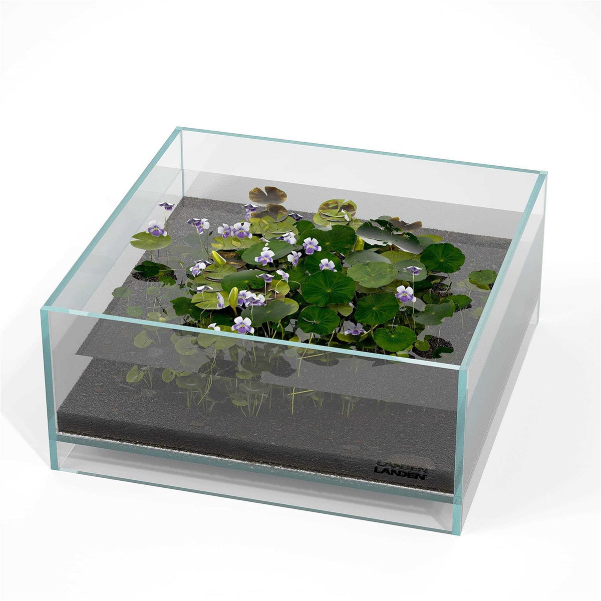 1.6 Gallon Rimless Low Iron Glass Aquarium Tank O320