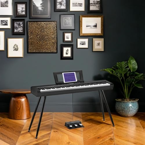 88 Key Full-Weighted Digital Piano Z502