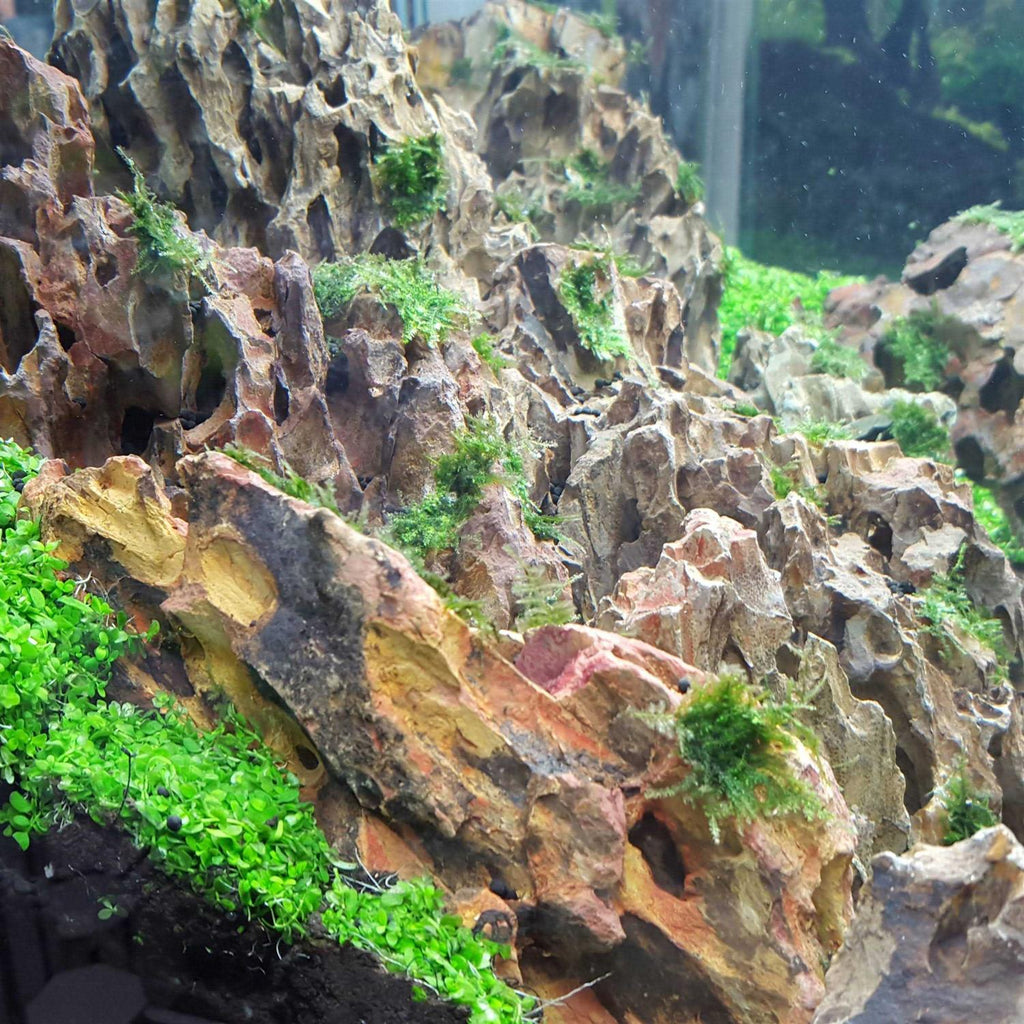 25 Gallon Aquarium Kit J159
