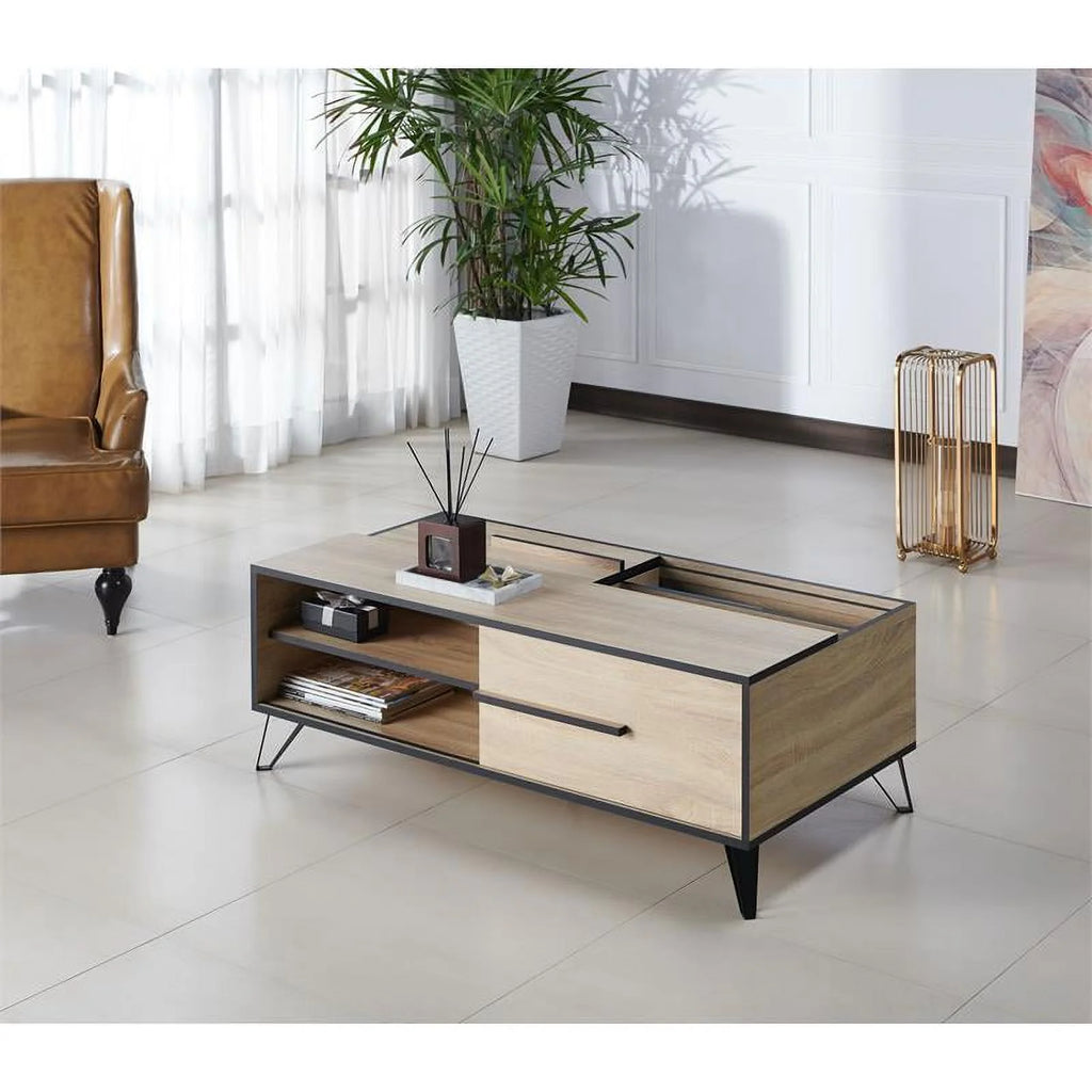 Modern Wood Storage Coffee Table S898