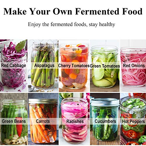 6 Set Stainless Steel Fermentation Lids for Wide Mouth Jars V28319
