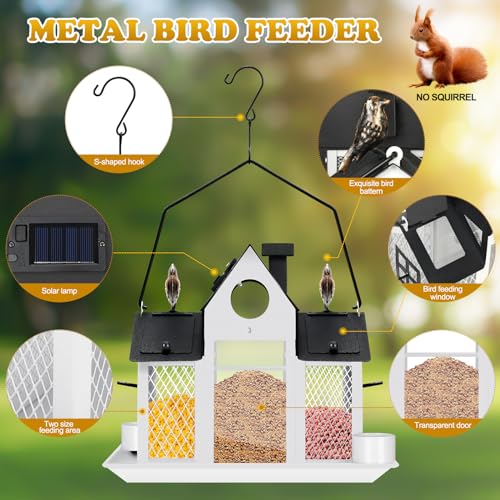 Hanging Metal Squirrel Proof Bird Feeder B40416