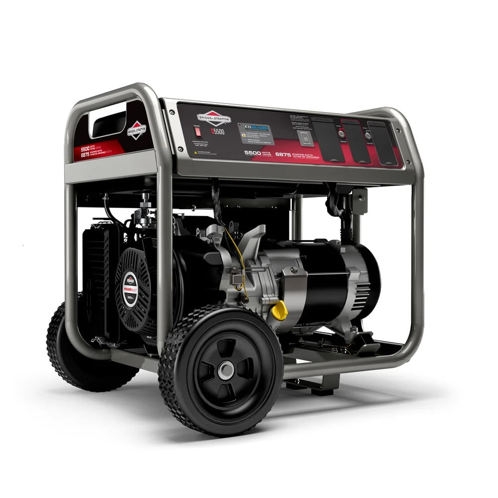 5500 Watt Portable Generator W844497