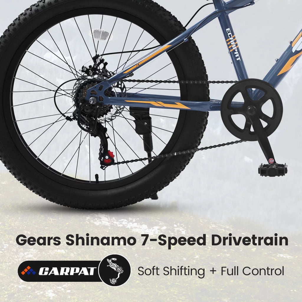 24 Inch Fat Tire Bike 7 Speeds Mountain Bike U832835