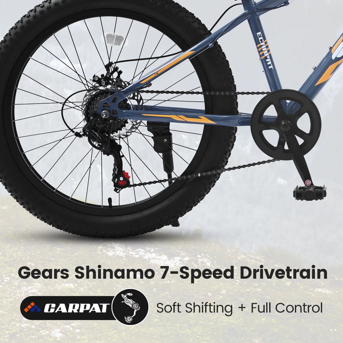 24 Inch Fat Tire Bike 7 Speeds Mountain Bike U832835