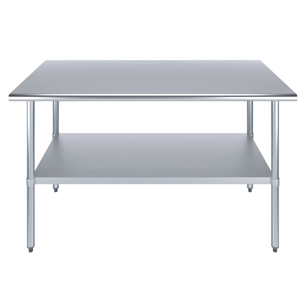 Stainless Steel Work Table with Undershelf N540184
