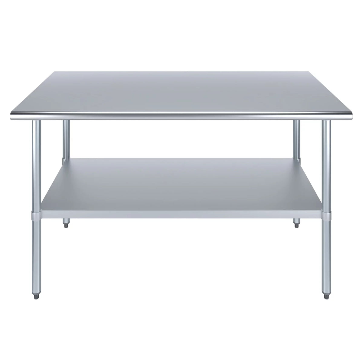 Stainless Steel Work Table with Undershelf N540184