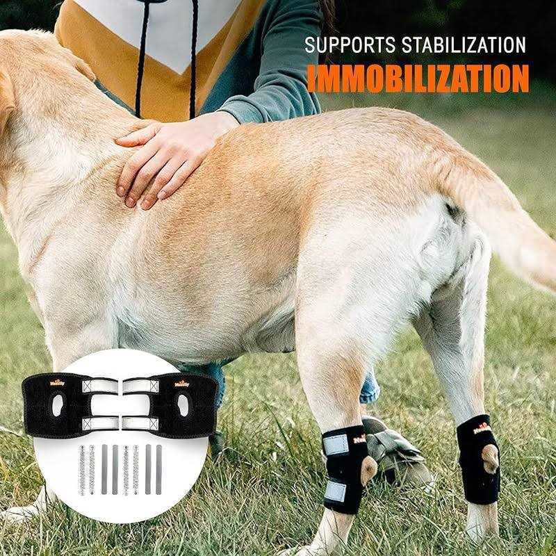 Small Dog Rear Leg Support Splint Braces G41791