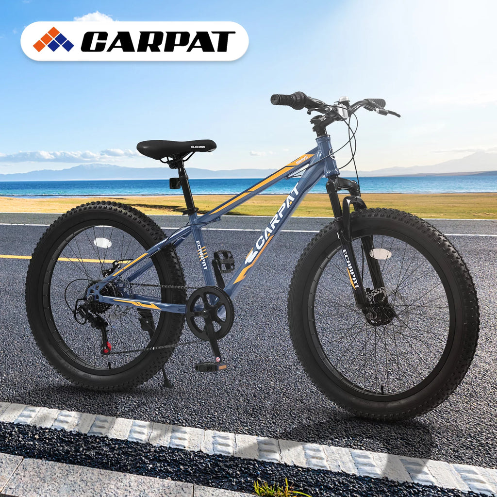 24 Inch Fat Tire Bike 7 Speeds Mountain Bike U832835