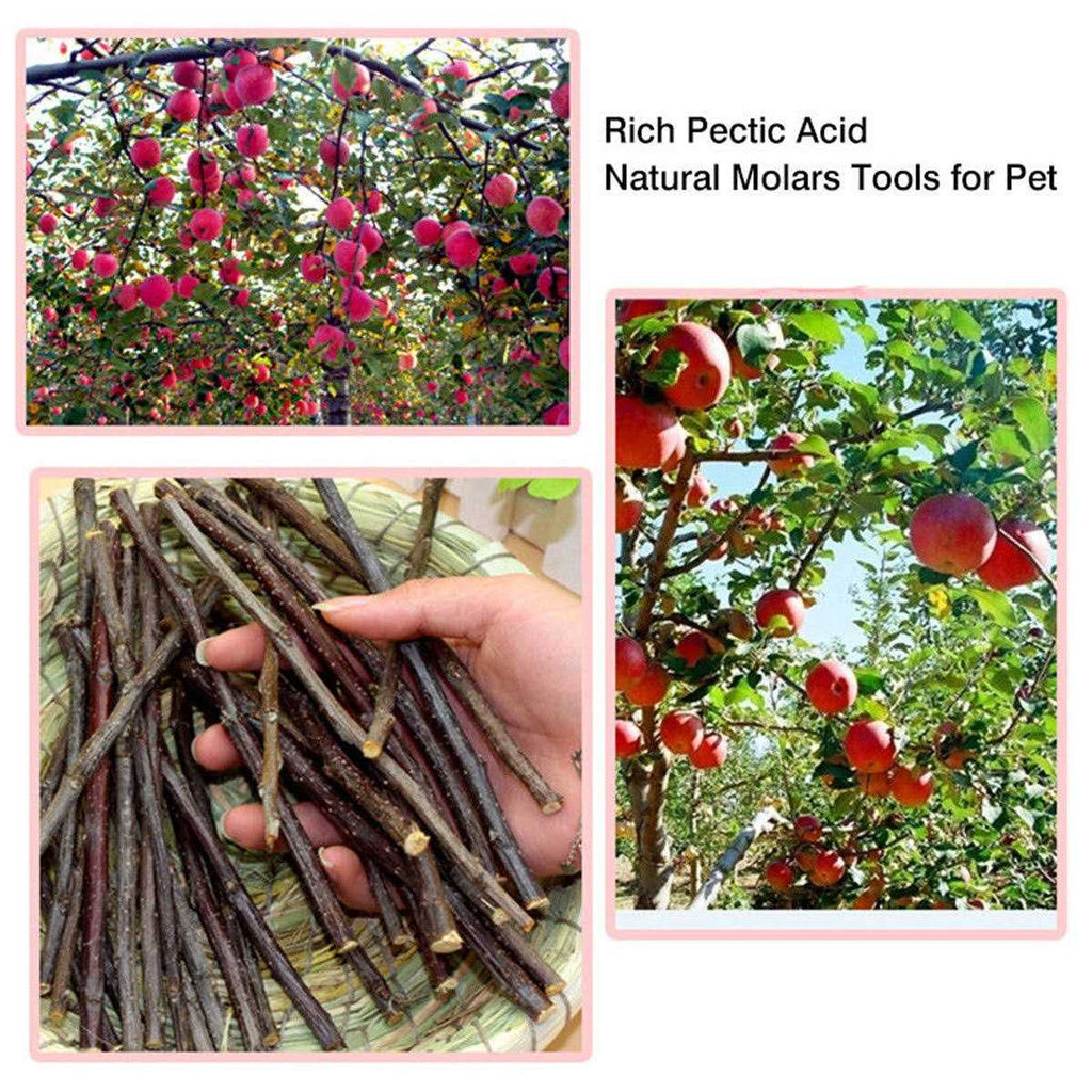 Organic Apple Sticks Chew Toys for Rabbits Guinea Pigs Chinchilla Hamster Small Animals F499